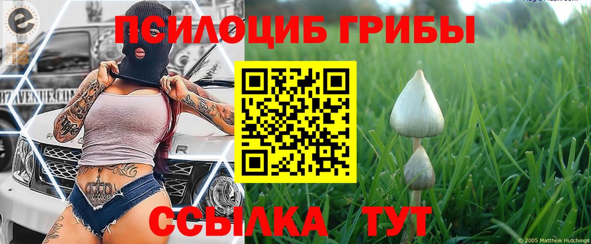 Галлюциногенные грибы прущие грибы Абинск
